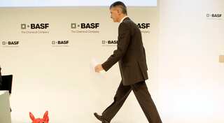 Bayer's swoop on Monsanto doesn't worry BASF