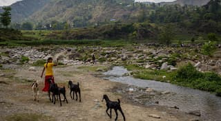 Women in rural Nepal take charge of agricultural work as men migrate