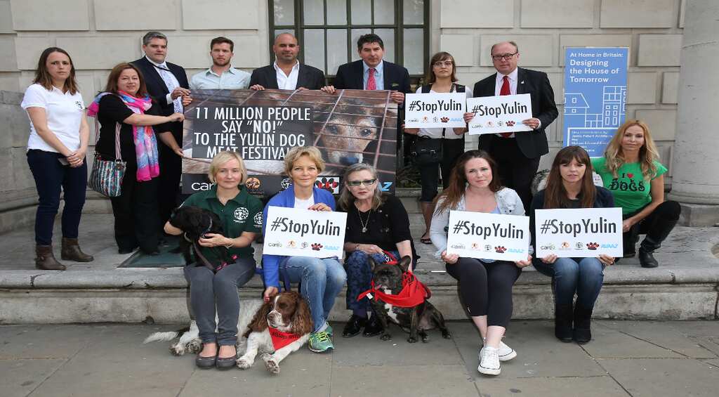 Just say no: Protesters against China dog meat festival deliver petition with 11 million signatures to authorities