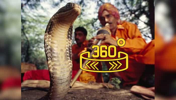 360 WION : Snake charming losing its charm
