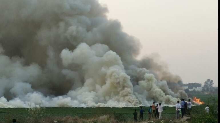 India: Lake catches fire in Bengaluru