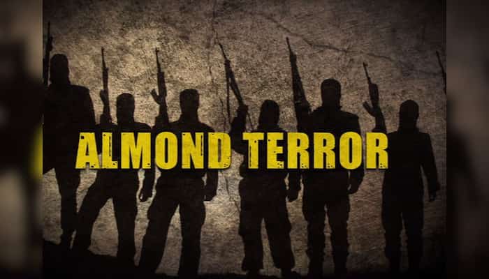 Here's how California almonds are funding cross-border terror in Kashmir