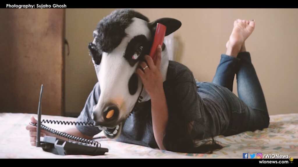 Protecting cows, ignoring women