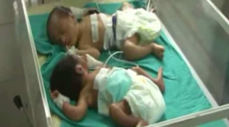 Gorakhpur repeat? 49 children die in one month at another UP govt hospital