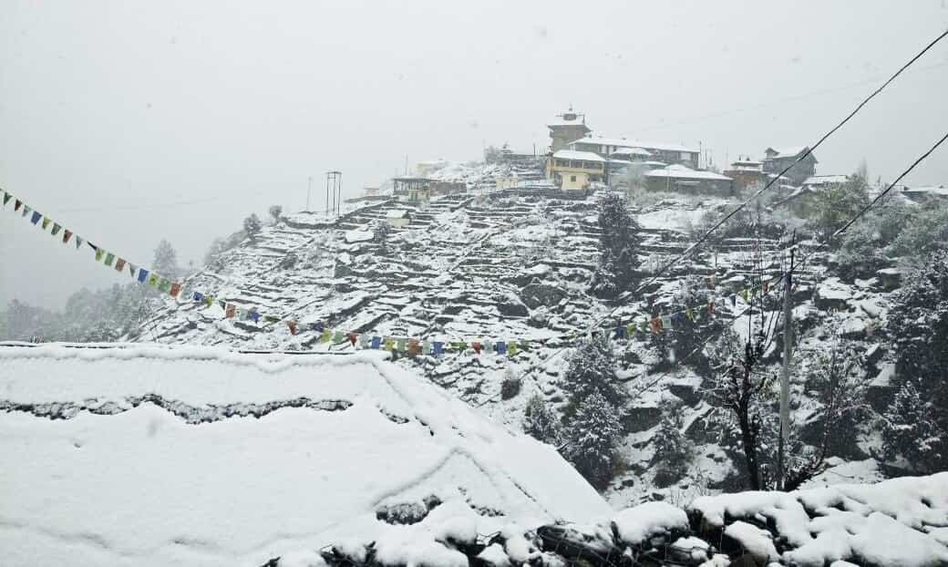 Watch: Heavy snowfall in Himachal Pradesh's Kinnaur district Watch: Heavy snowfall in Himachal Pradesh's Kinnaur district