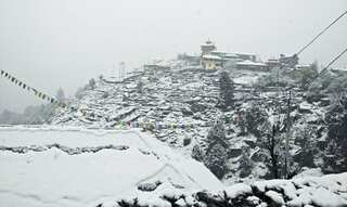 Watch: Heavy snowfall in Himachal Pradesh's Kinnaur district
