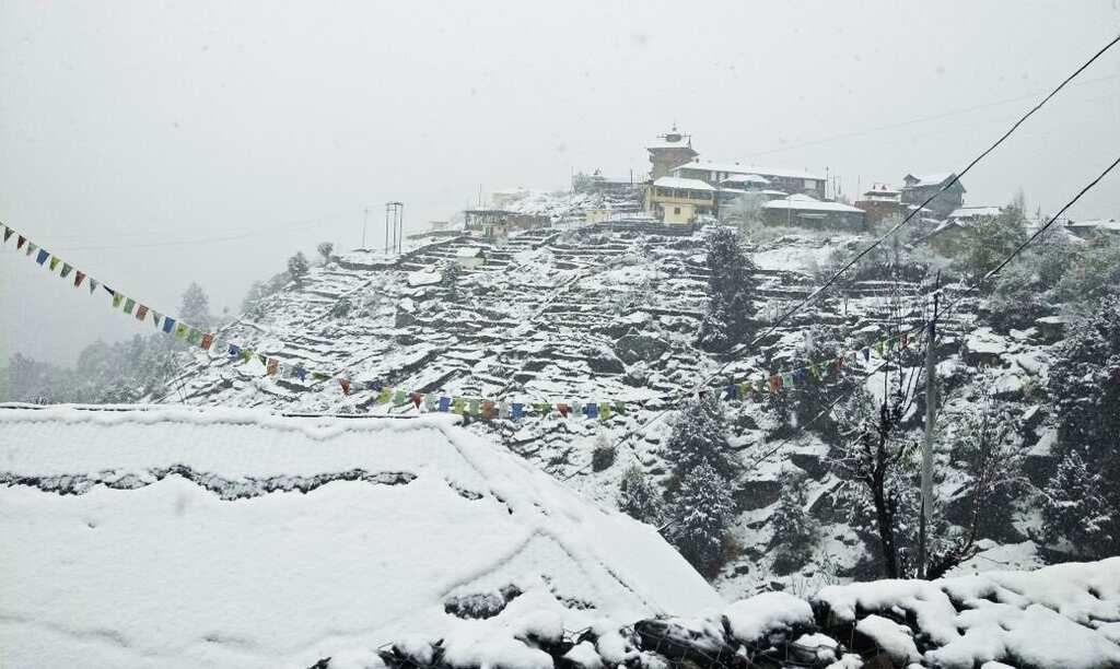 Watch: Heavy snowfall in Himachal Pradesh's Kinnaur district