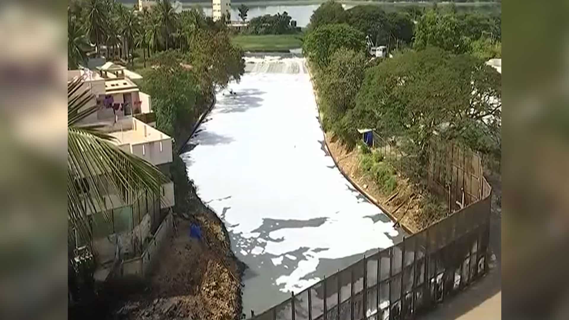 Watch: Bengaluru's Bellandur lake continues to froth Watch: Bengaluru's Bellandur lake continues to froth