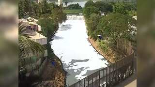 Watch: Bengaluru's Bellandur lake continues to froth