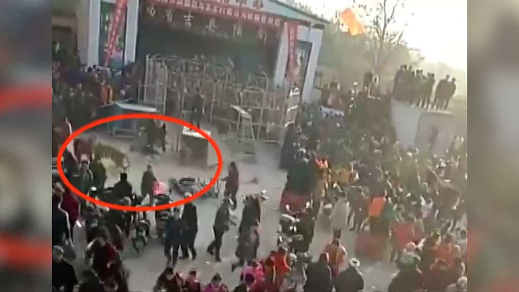 Watch: Tiger escapes from circus show in China