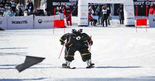 Watch: Pyeongchang winter robots Olympics