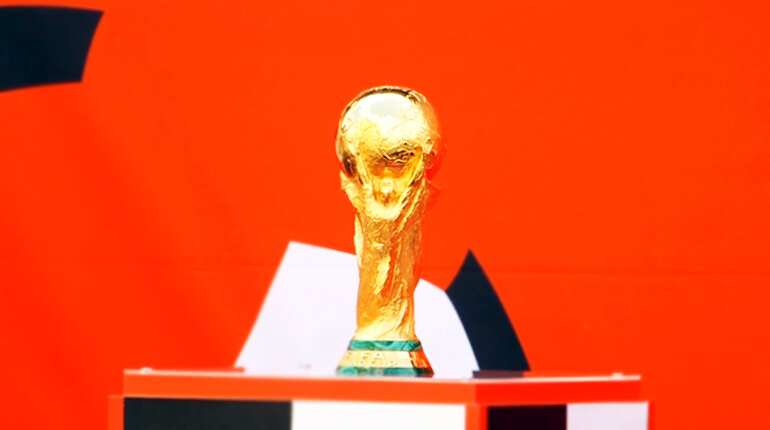 FIFA World Cup trophy returns to Moscow after trip around globe