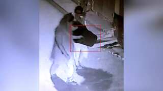 CCTV footage shows Burari family members brought stools, wires used for hanging