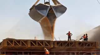 Bangladesh to cancel tender to import 50,000 tonnes of wheat