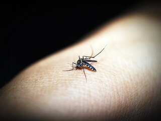 African scientist develops ‘gene drive tech’ that could wipe out malaria from continent