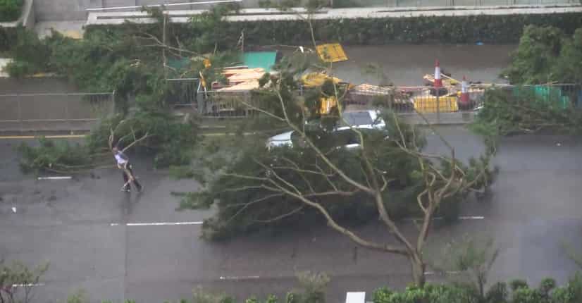 Typhoon Mangkhut leaves trail of destruction; at least 65 killed in Philippines