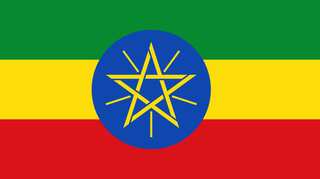 Ethiopians criticise United States at pro-government rally