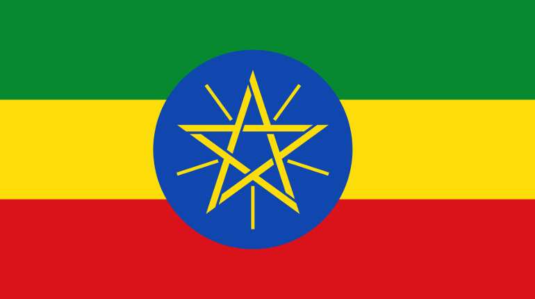 Ethiopians criticise United States at pro-government rally