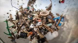 Bacteria can be the answer to remove microplastics from environment