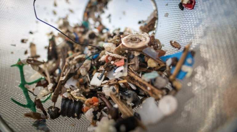 Bacteria can be the answer to remove microplastics from environment
