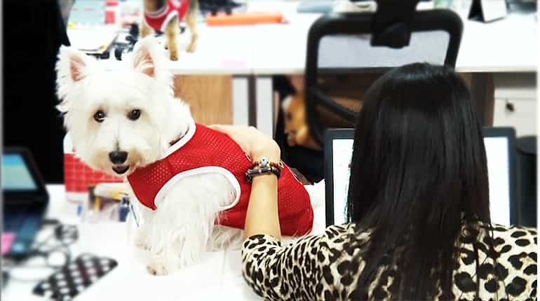 Want to beat stress at work? Thailand offices show the way