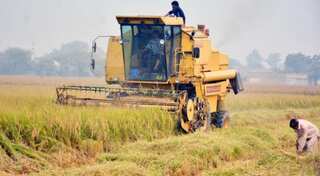  How new technologies can avert agricultural devastation