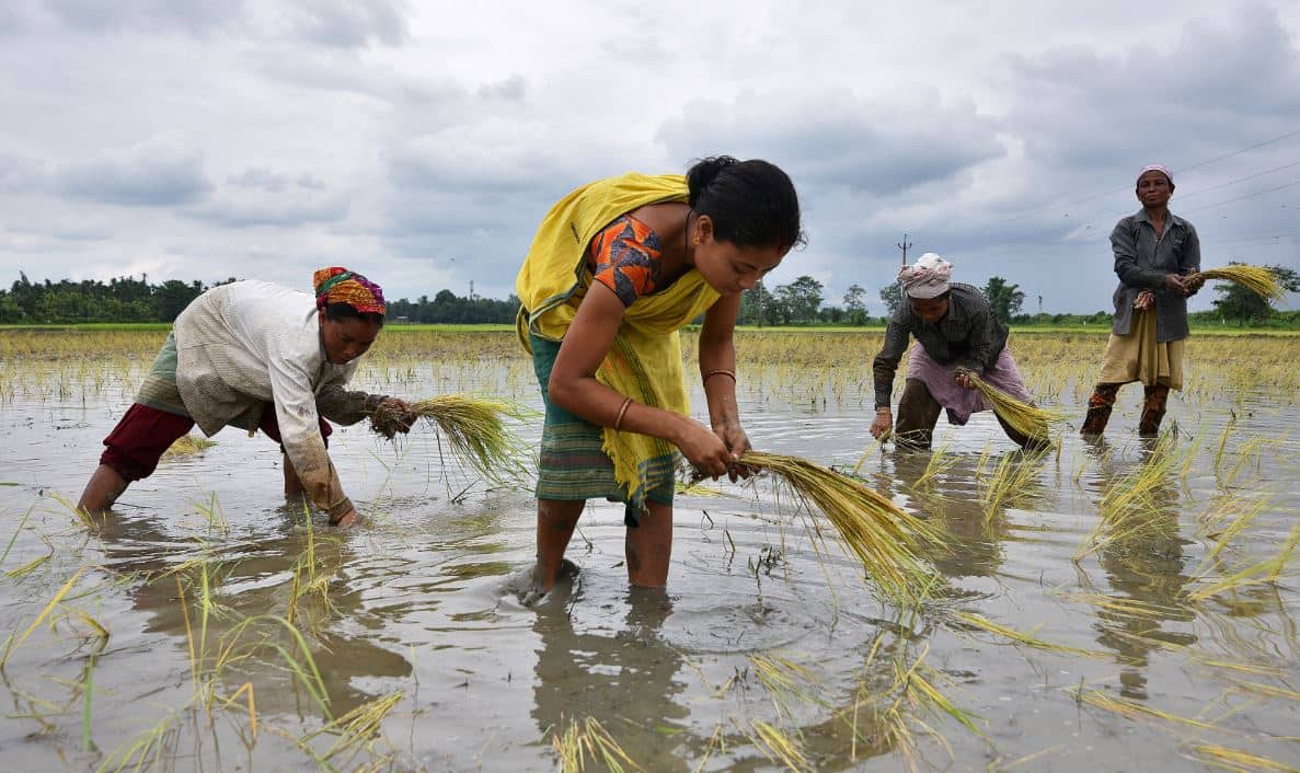 Centre sets up panel for reservation of seats in assembly, local bodies for Assamese