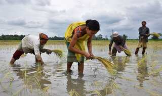 Centre sets up panel for reservation of seats in assembly, local bodies for Assamese