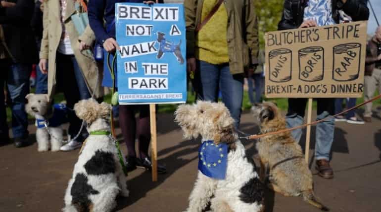 Hundreds of dogs hound May for 'Wooferendum' on Brexit