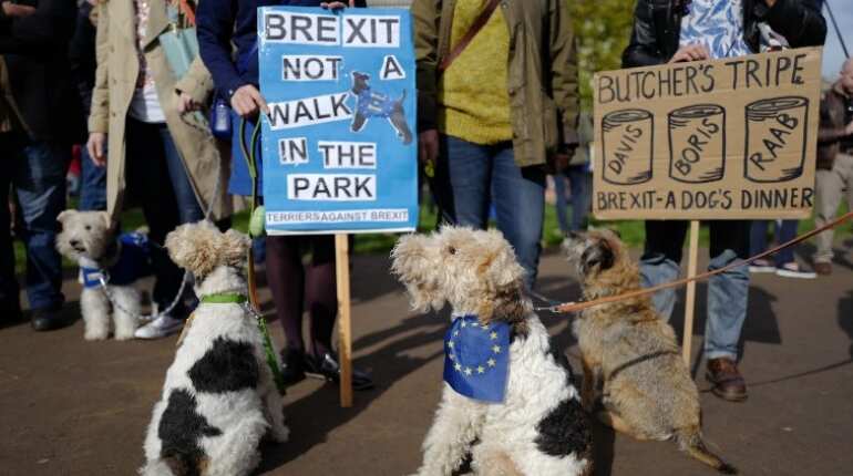 Hundreds of dogs hound May for 'Wooferendum' on Brexit