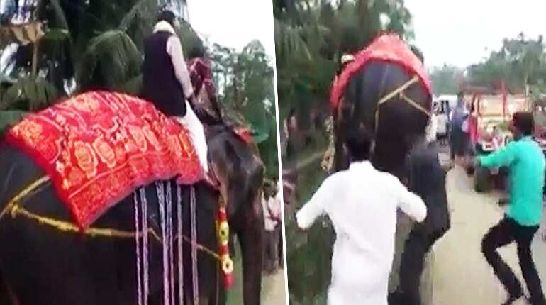 Watch: Assam deputy speaker falls off elephant
