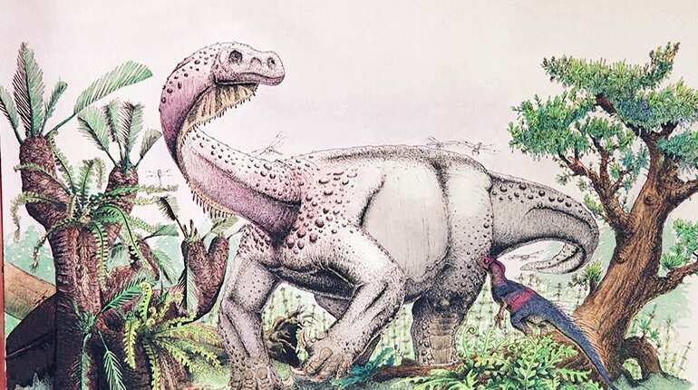 New dinosaur species discovered in South Africa