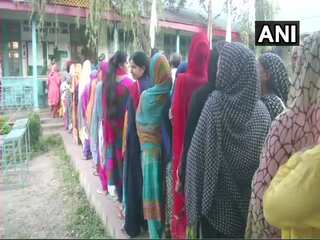 J&amp;K municipal polls: Kargil takes lead with 73.6% voter turnout