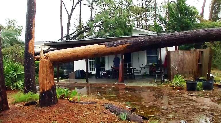 Aftermath in Florida: 'It snapped trees like they were toothpicks'