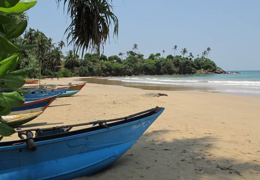 Nothing to see here: Sri Lanka to revoke rogue bikini ban Nothing to see here: Sri Lanka to revoke rogue bikini ban