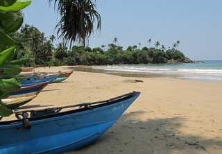 Nothing to see here: Sri Lanka to revoke rogue bikini ban