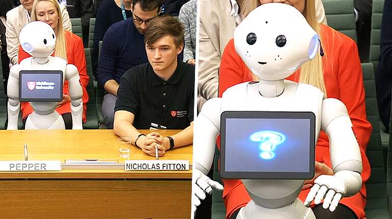 Pepper the robot tells British MPs about uses of artificial intelligence