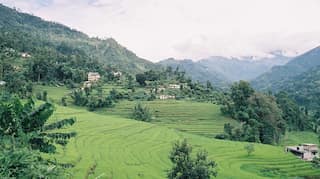 Sikkim wins UN award for becoming world's first 100% organic state