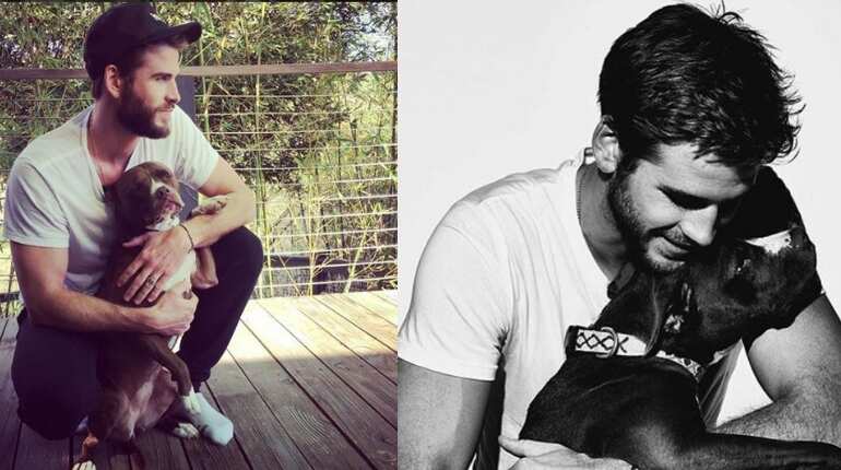 Liam Hemsworth to star in gangster film 'Arkansas'