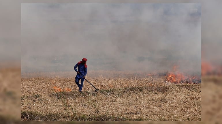 Delhi holds breath as burning farms herald pollution season