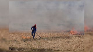 Delhi holds breath as burning farms herald pollution season