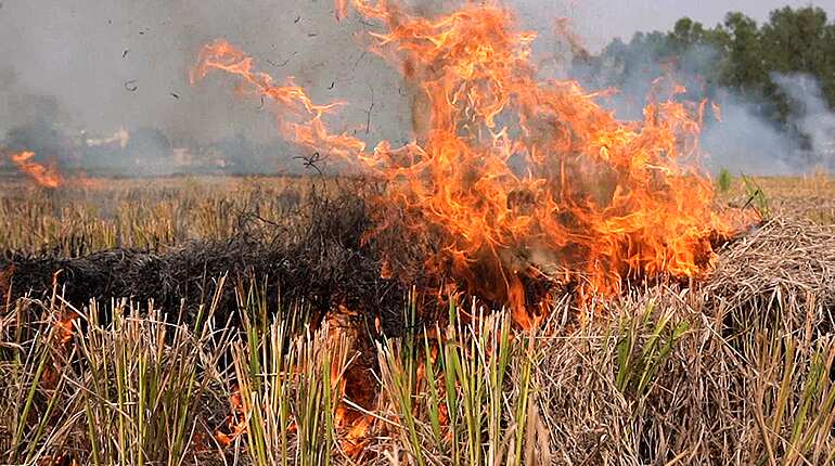 Delhi holds breath as burning farms herald pollution season