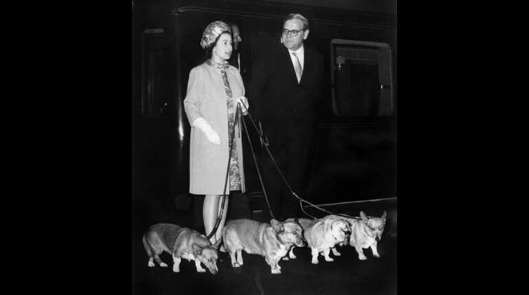 Queen's last corgi dies, leaving only dorgis: Report
