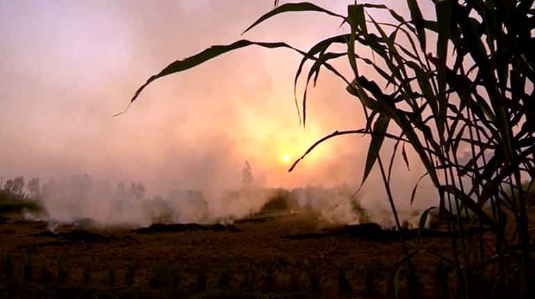 The burning truth: farmers set fire to fields, engulf Delhi in choking smog