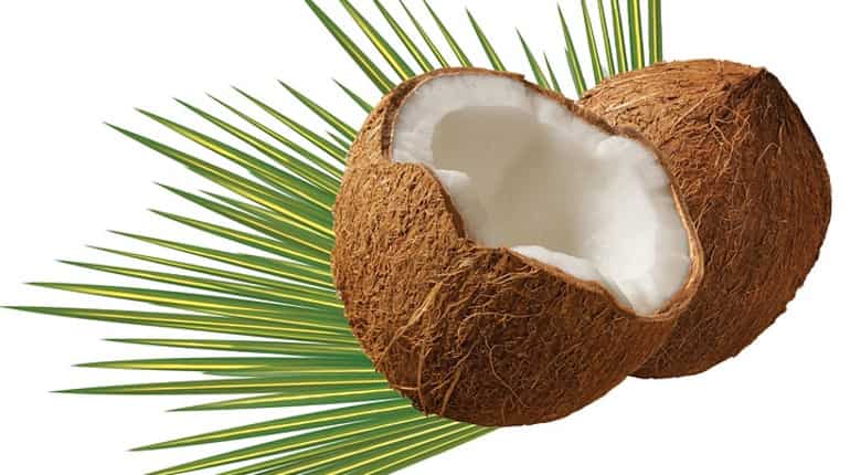 Coconut oil compounds more effective than insect repellents: Study