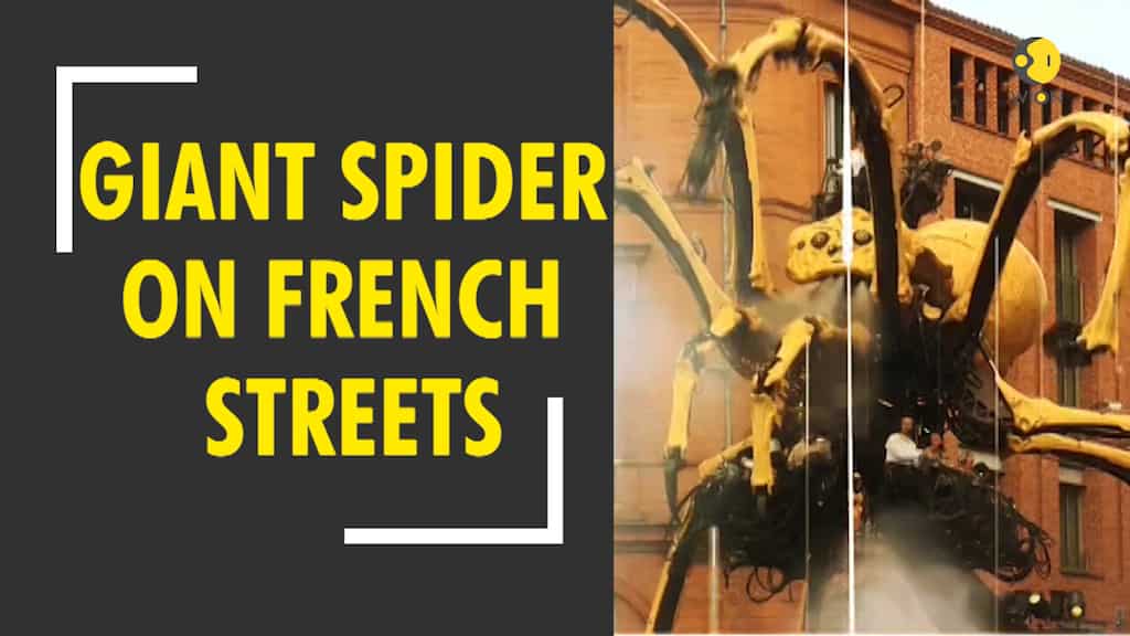 Giant mechanical creatures delight spectators in France