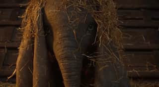 Watch: Full-length trailer of Tim Burton's 'Dumbo' is now out