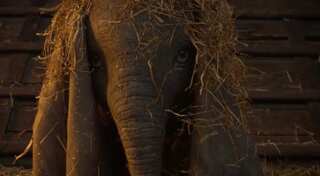 Watch: Full-length trailer of Tim Burton's 'Dumbo' is now out