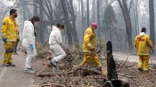 Troops search for 130 missing in California wildfire, death toll climbs to 56