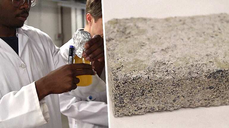 Waste not: South Africa makes world's first human urine brick